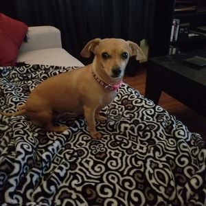 Meet your Posher, Daniel